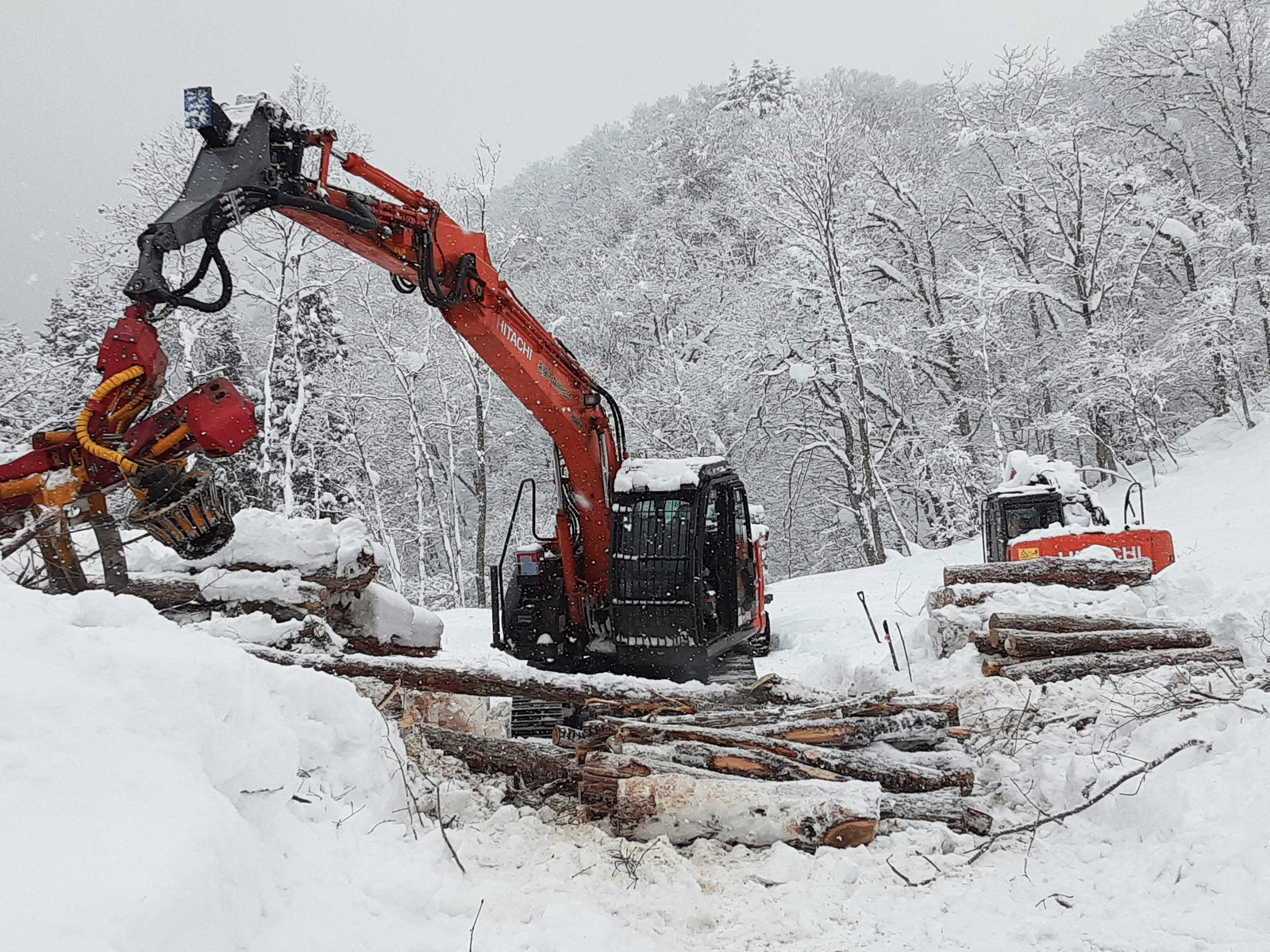 雪の中で行われる伐採作業